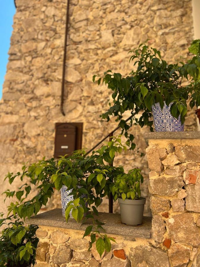 La Casa Di Nenna Bed and Breakfast Trentinara Εξωτερικό φωτογραφία
